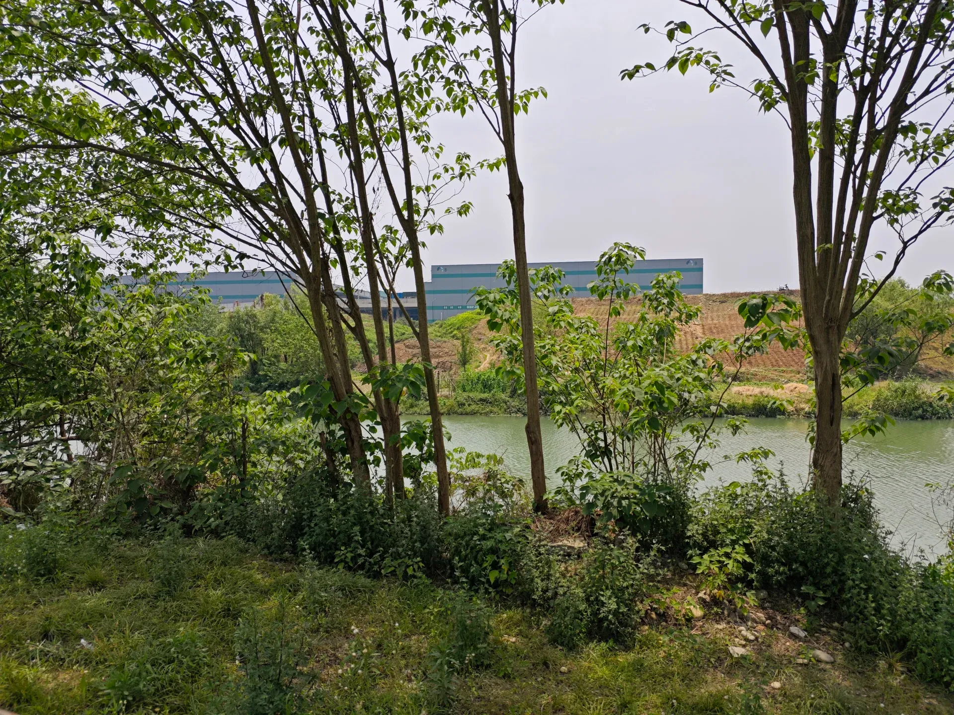 MVIMG_20260510_131933