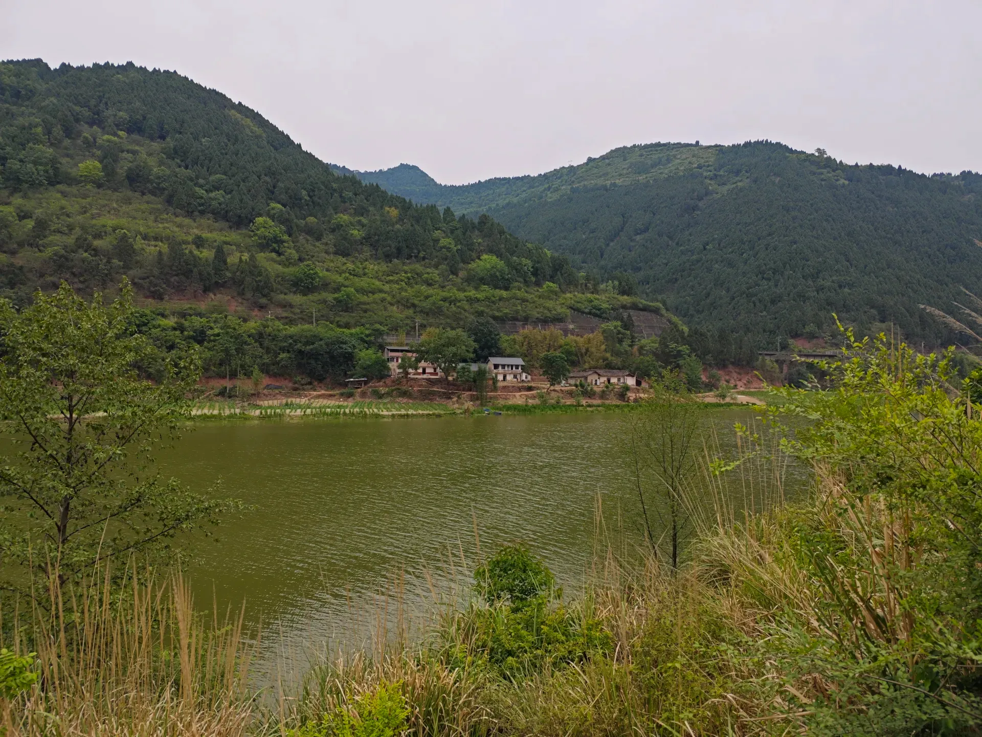 MVIMG_20260511_122440