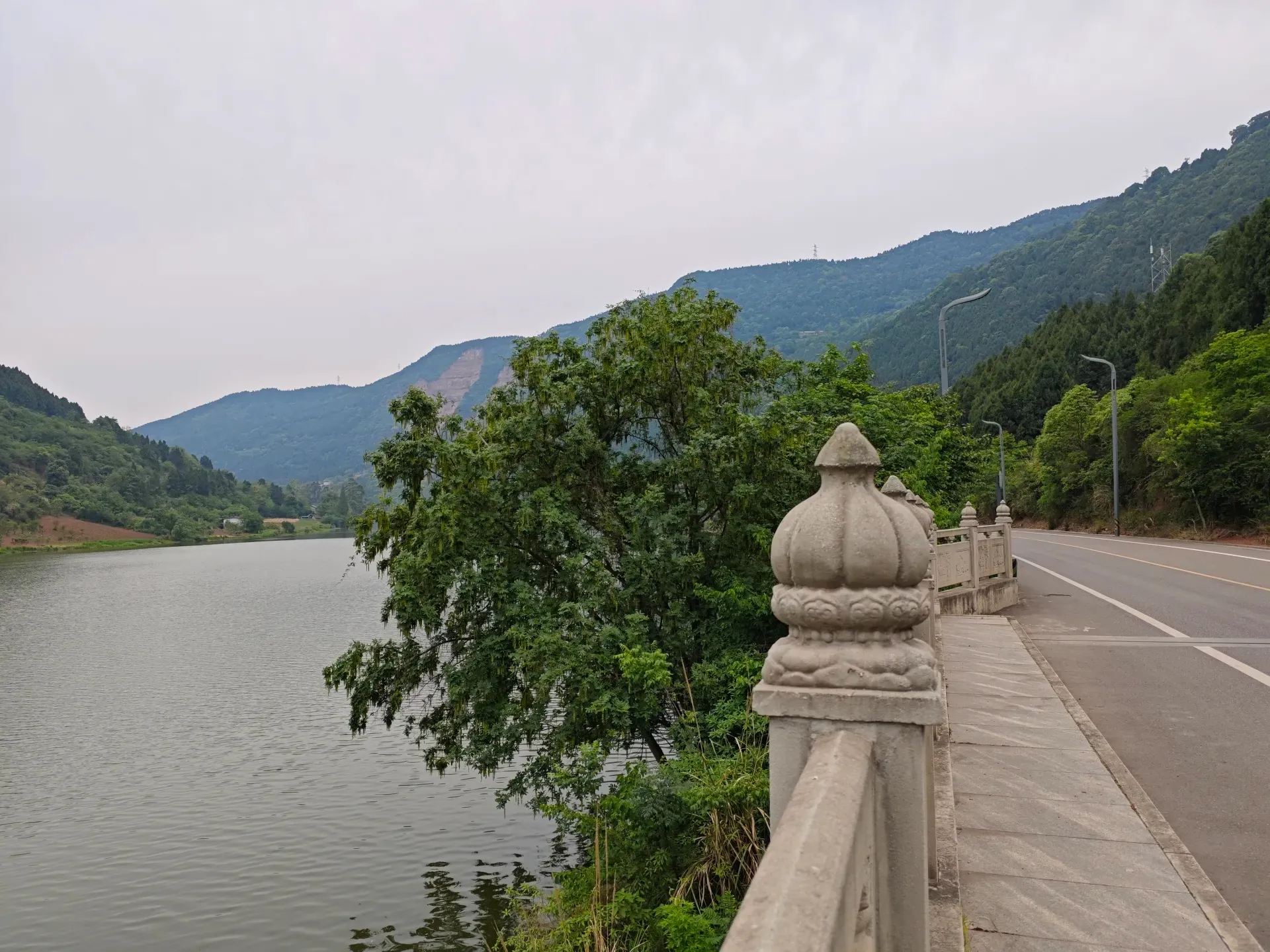 MVIMG_20260511_124445