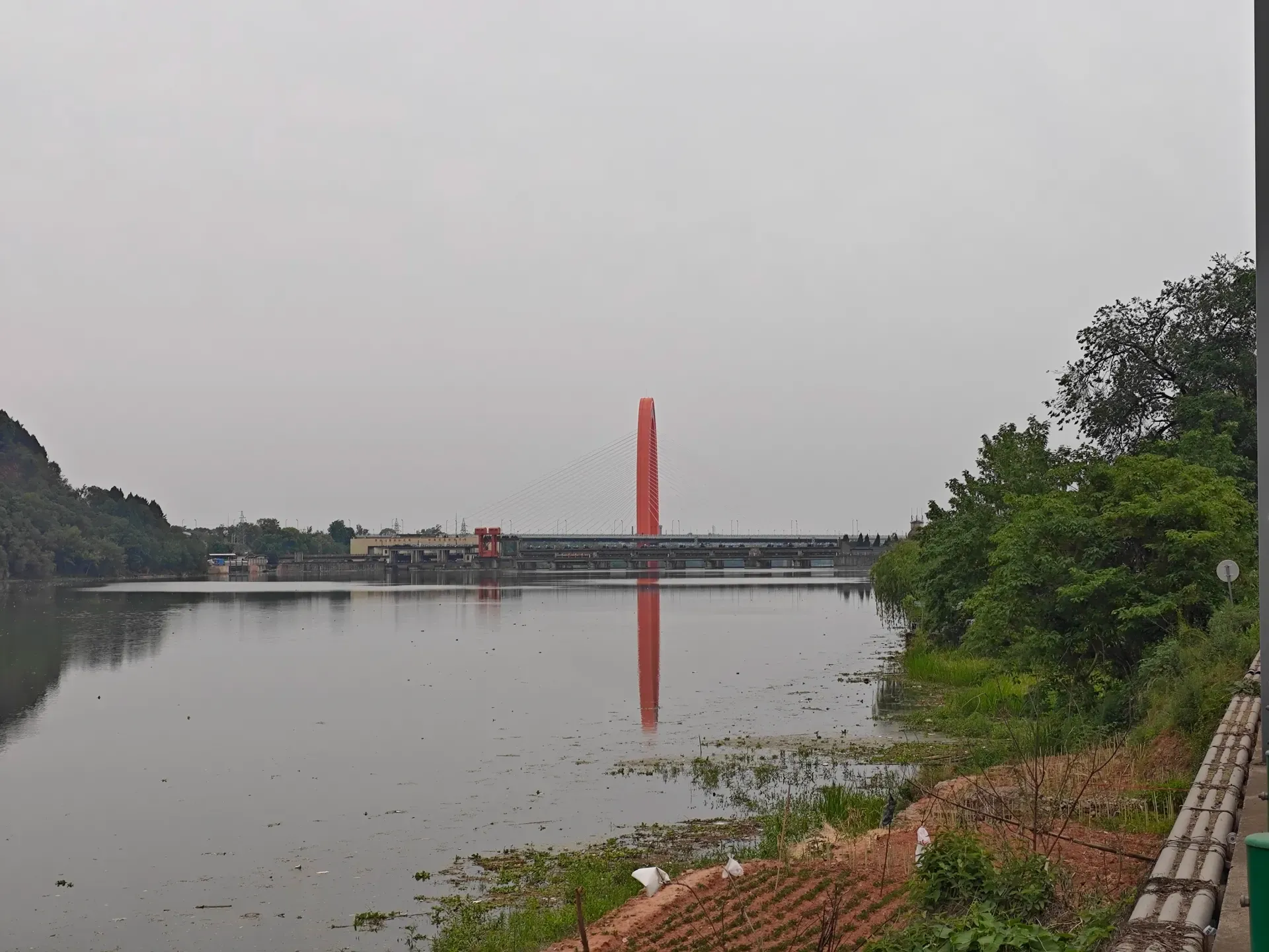 MVIMG_20260511_125949