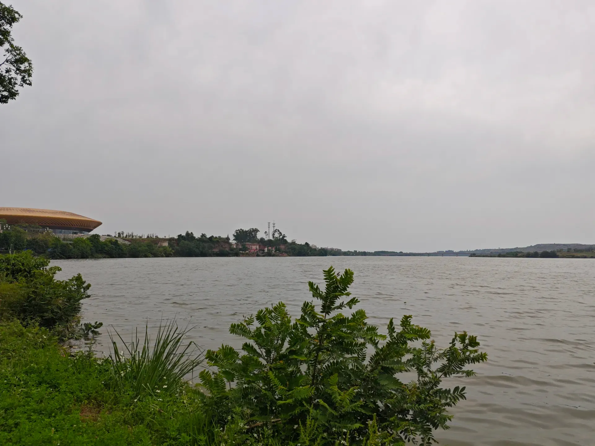 MVIMG_20260511_143559