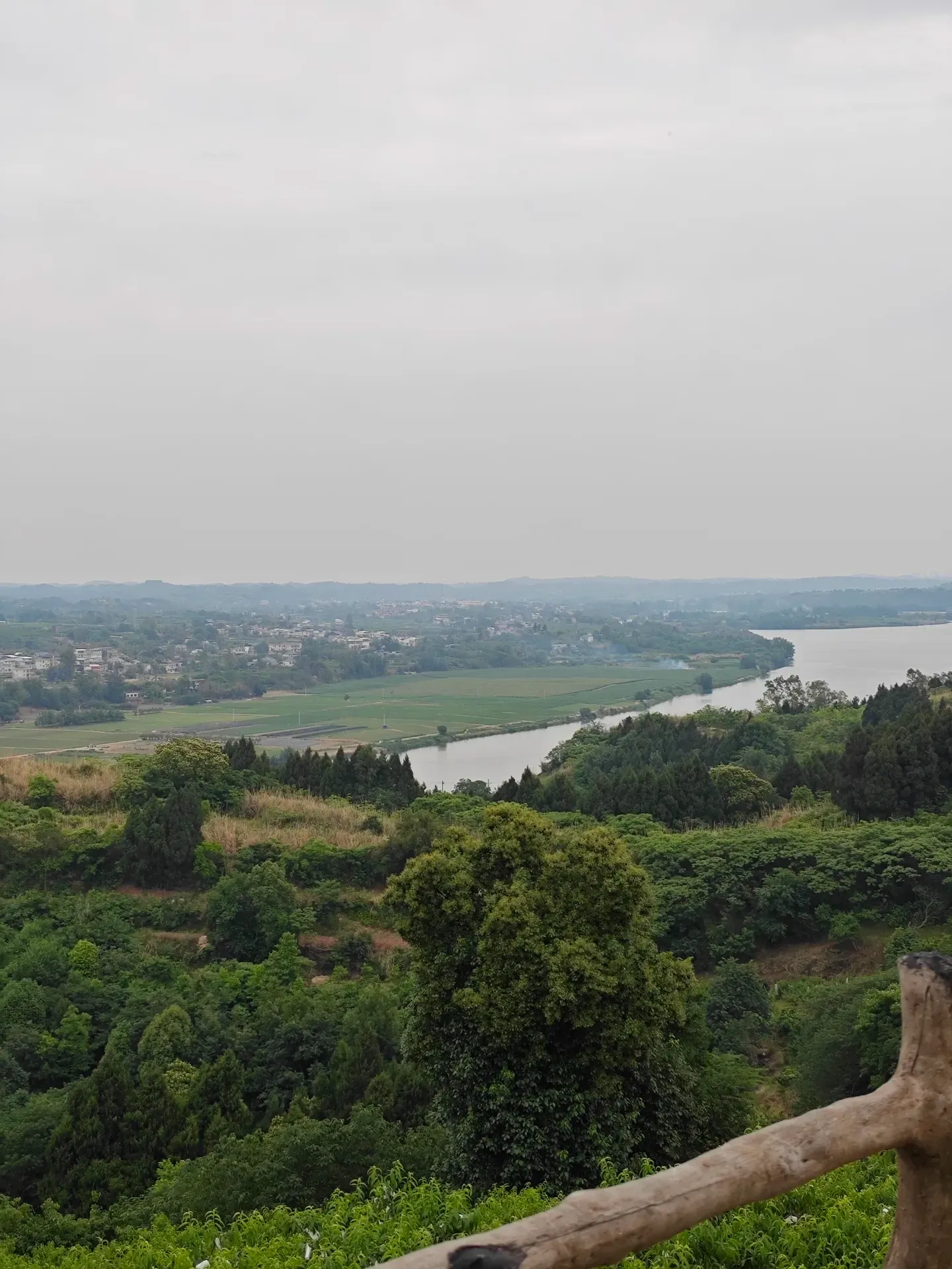 MVIMG_20260511_165053
