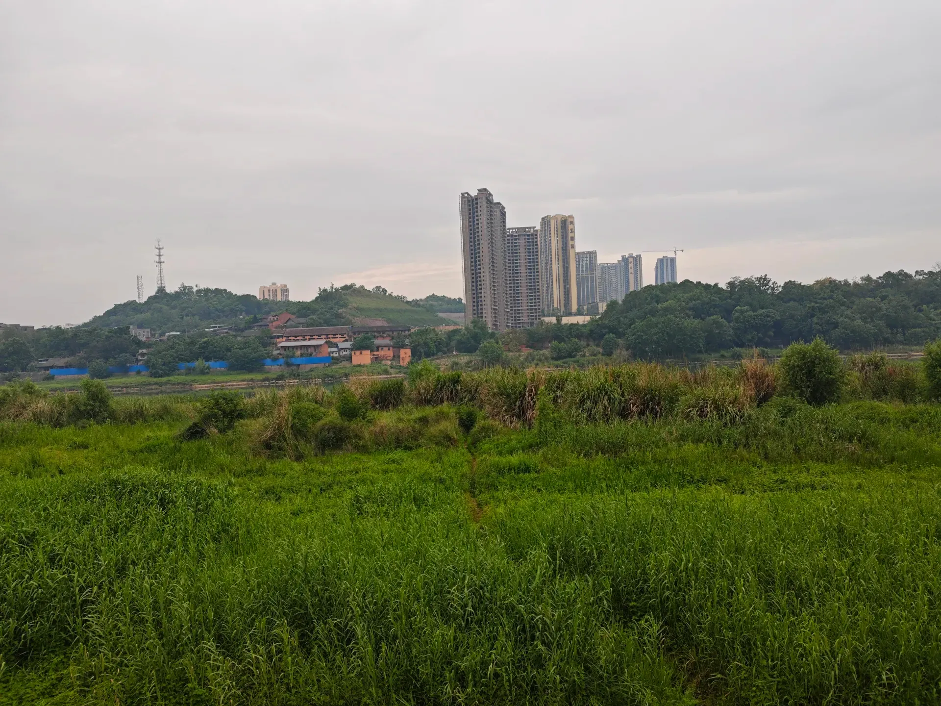 MVIMG_20260512_080625