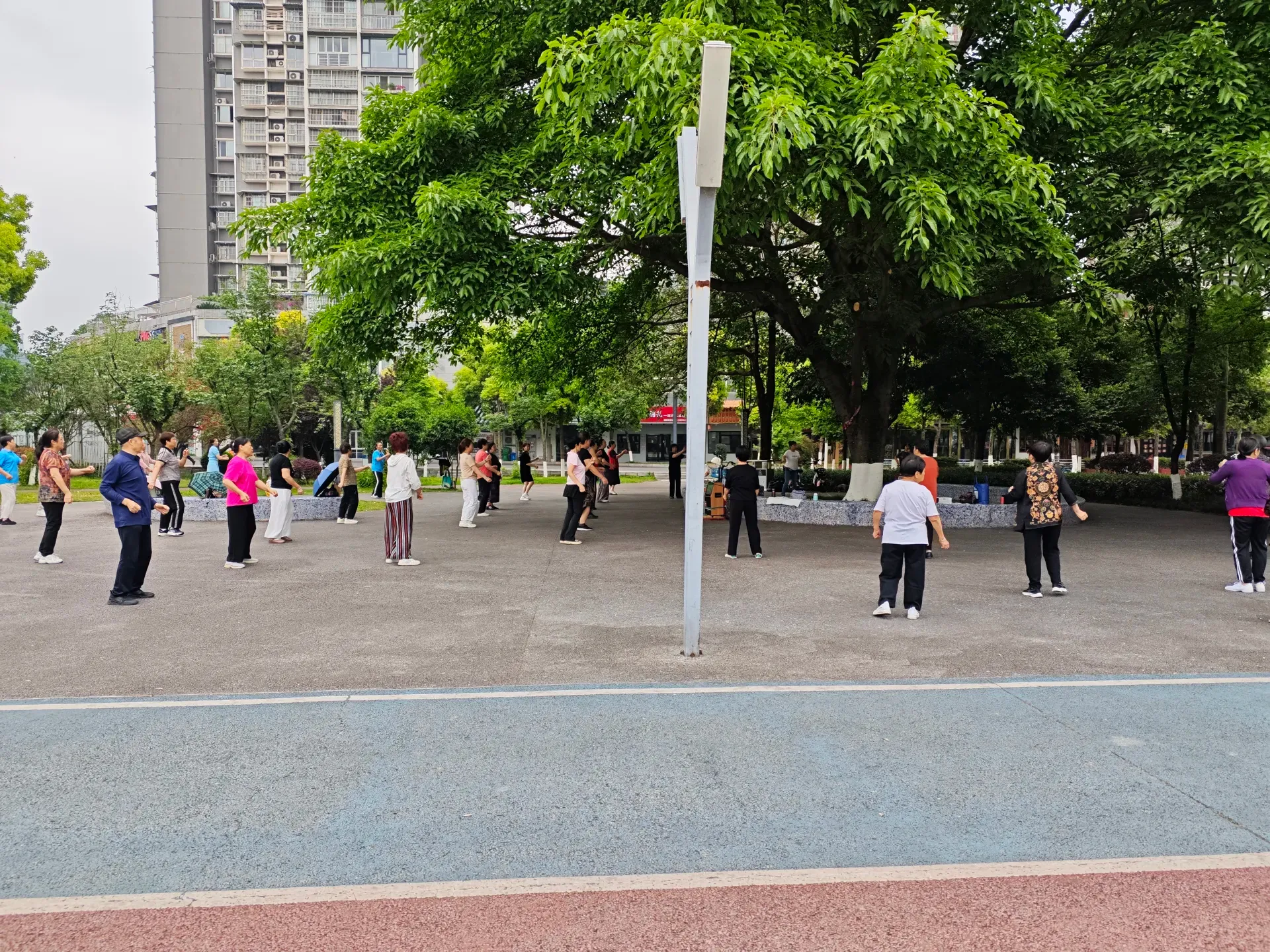MVIMG_20260512_082048