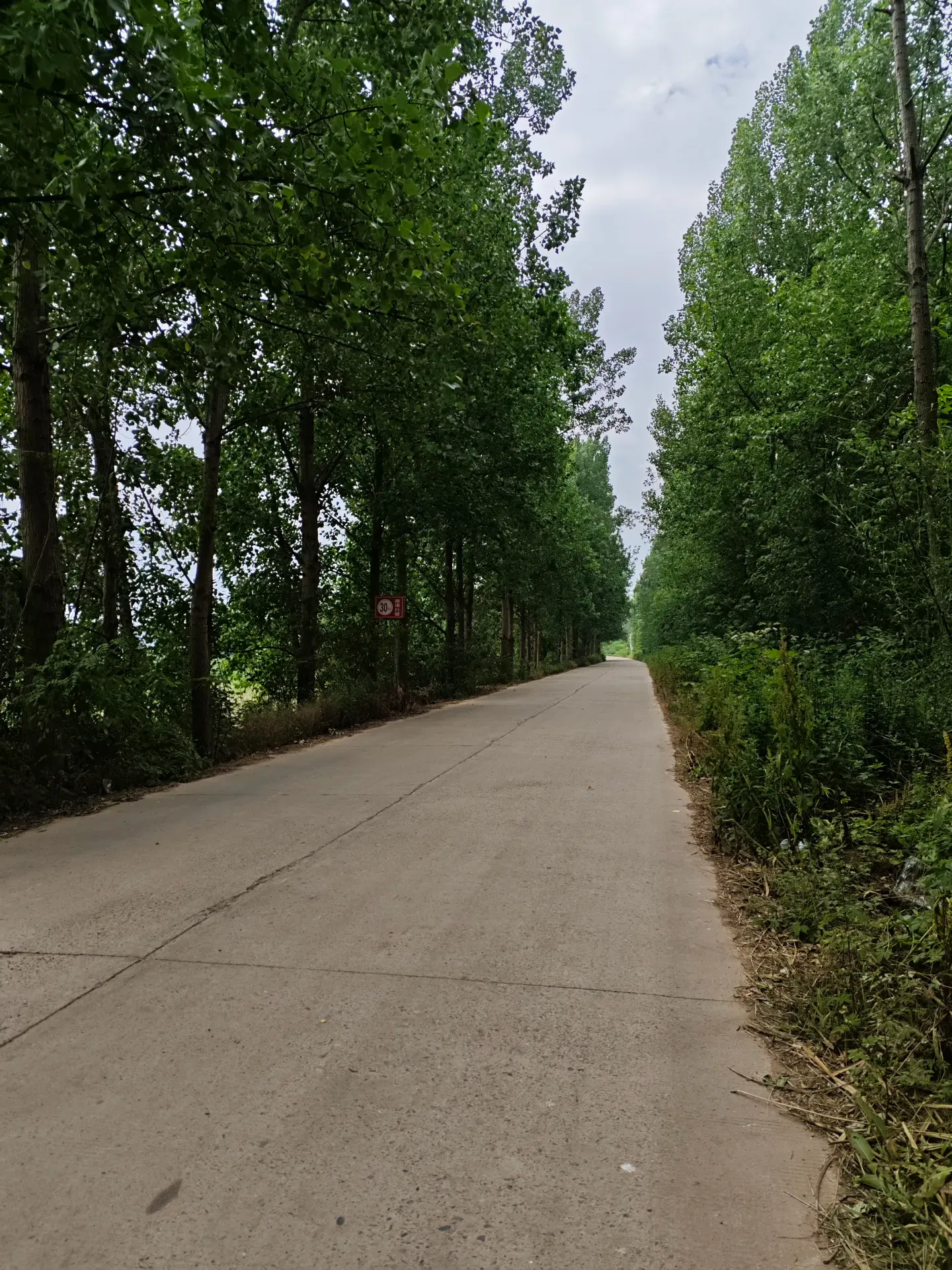 MVIMG_20260512_094037