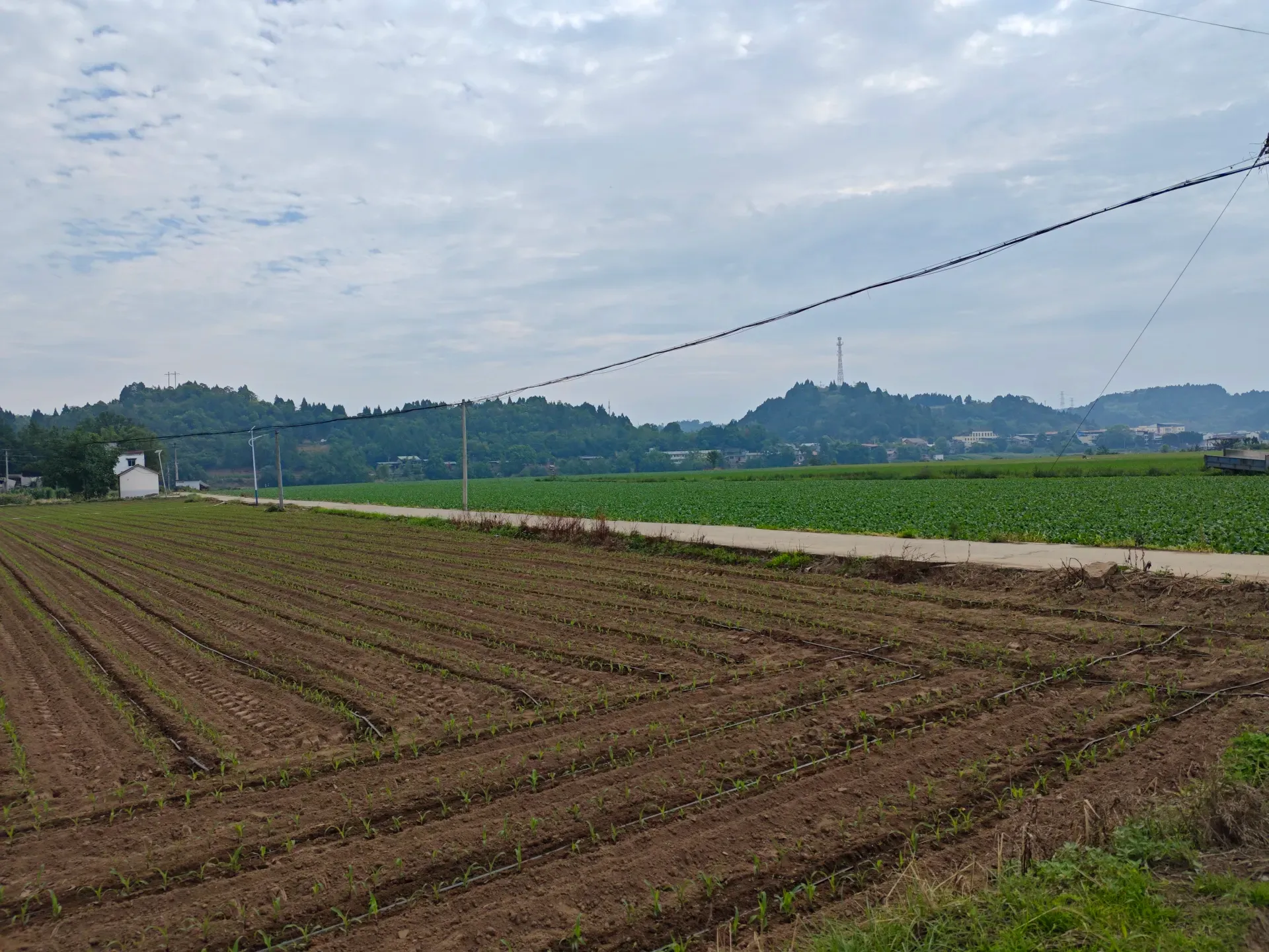 MVIMG_20260512_101636
