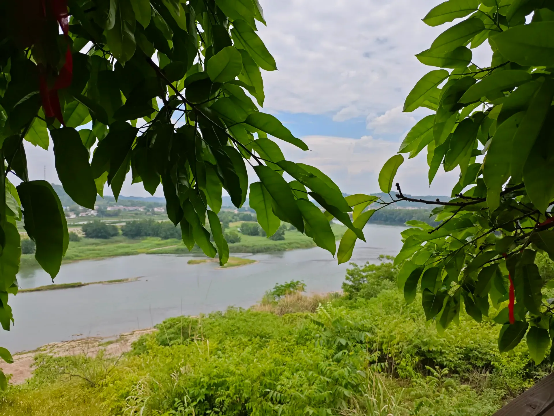 MVIMG_20260512_134420