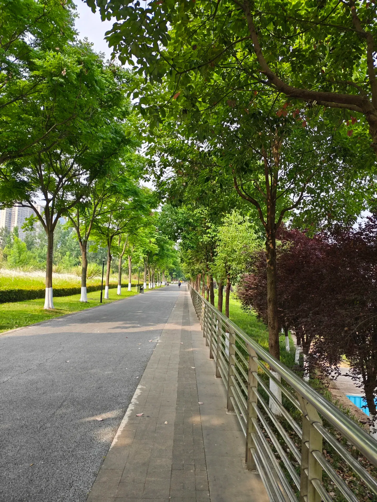 MVIMG_20260513_094315
