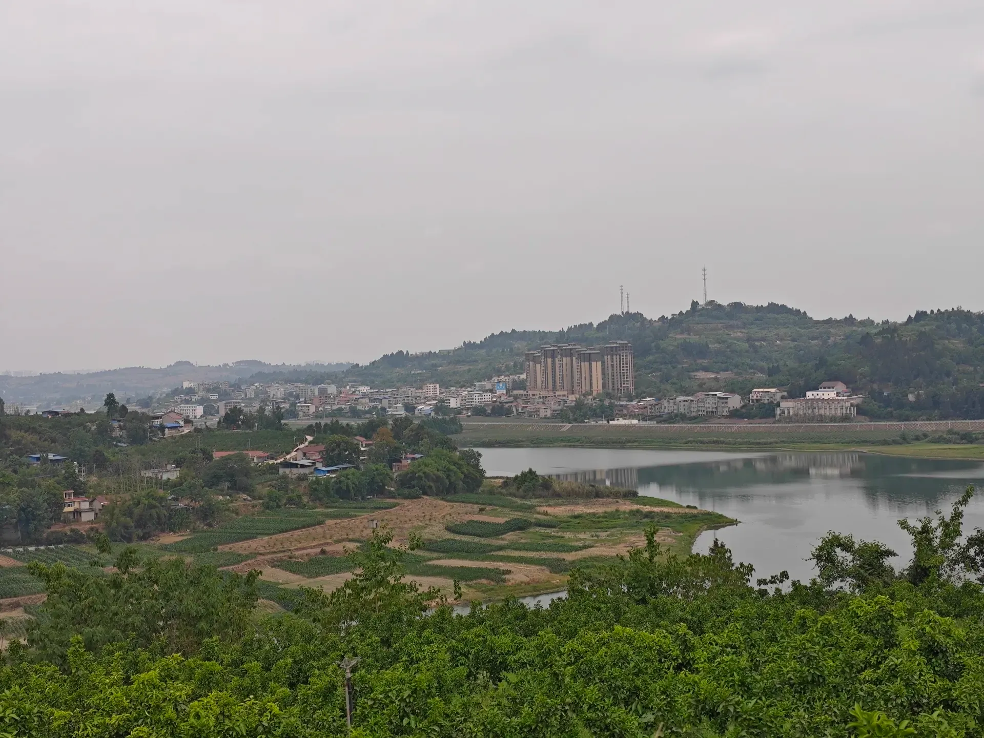 MVIMG_20260513_113419