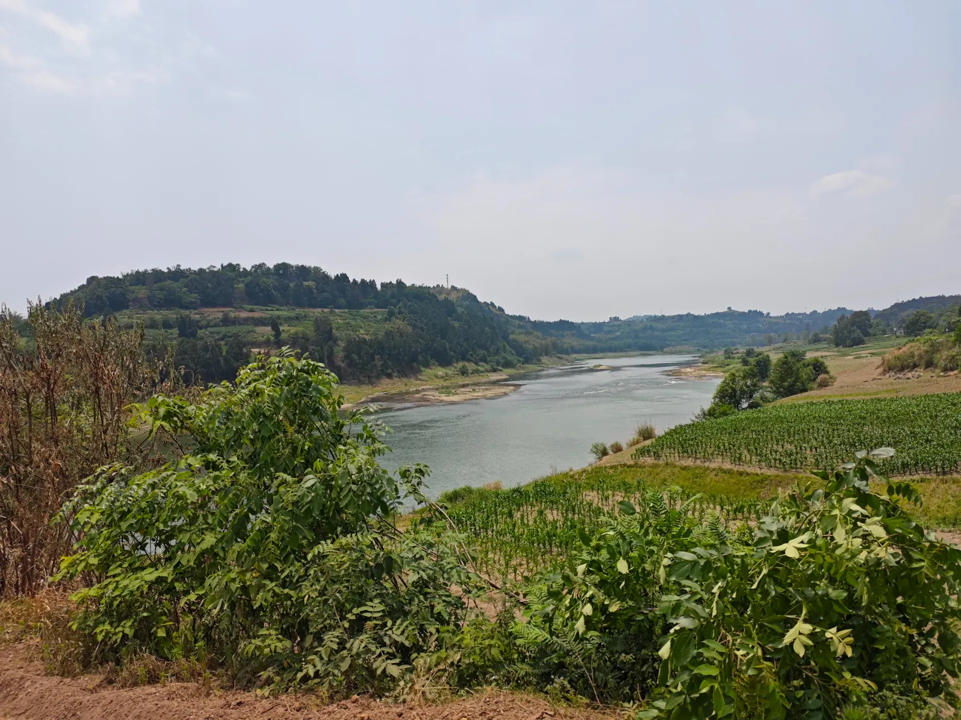 MVIMG_20260513_124739