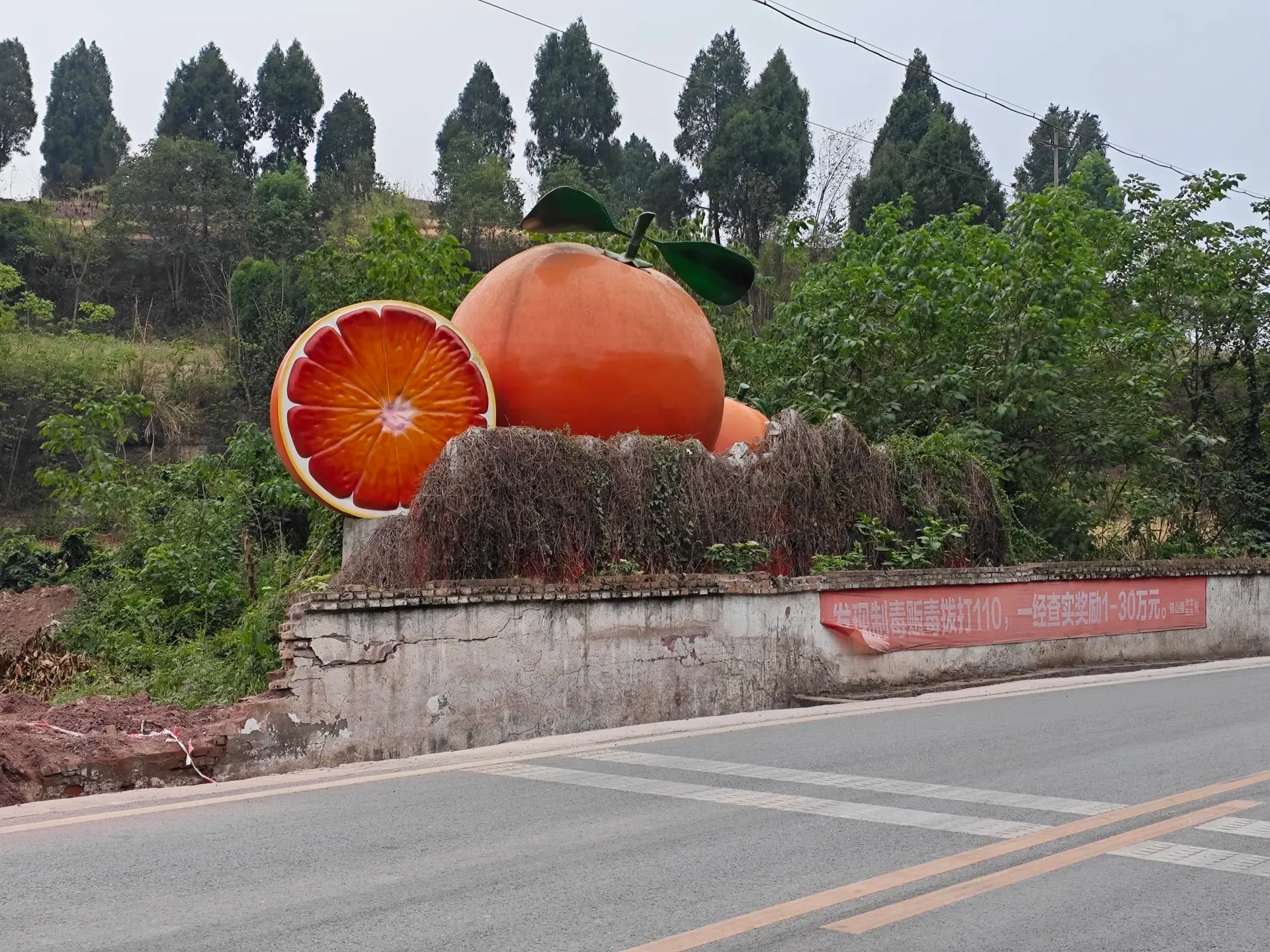 MVIMG_20260514_095339