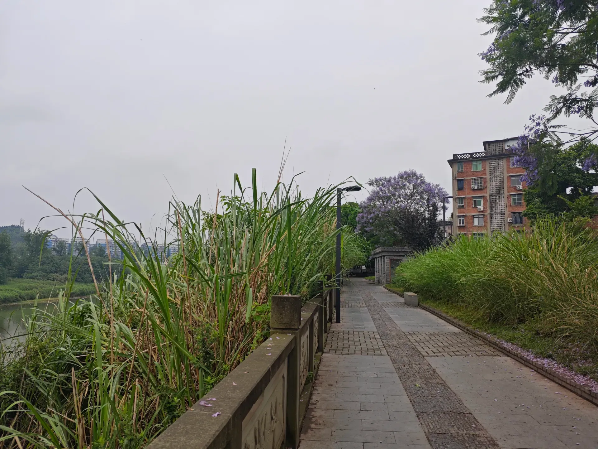 MVIMG_20260515_104508
