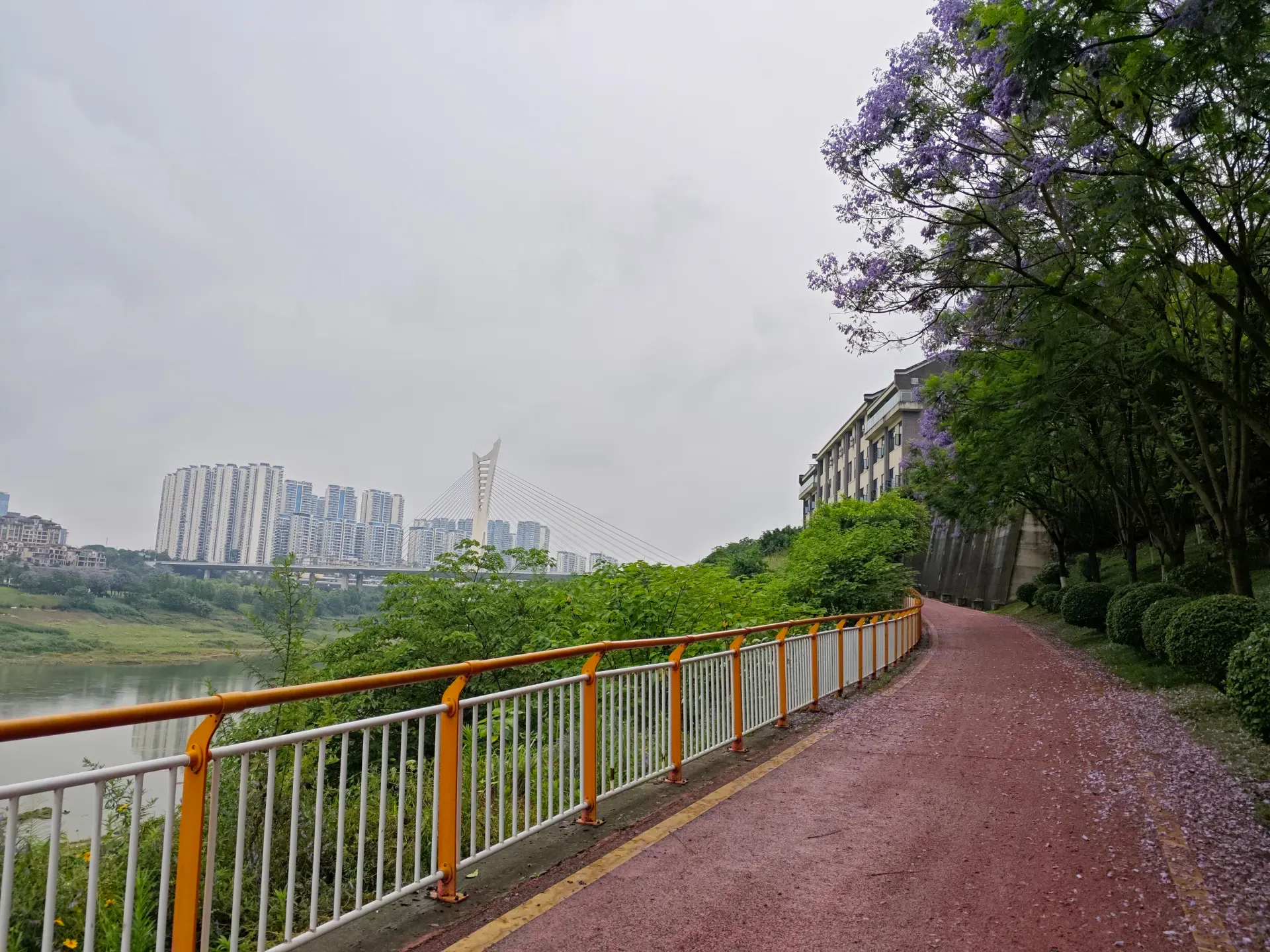 MVIMG_20260516_120734