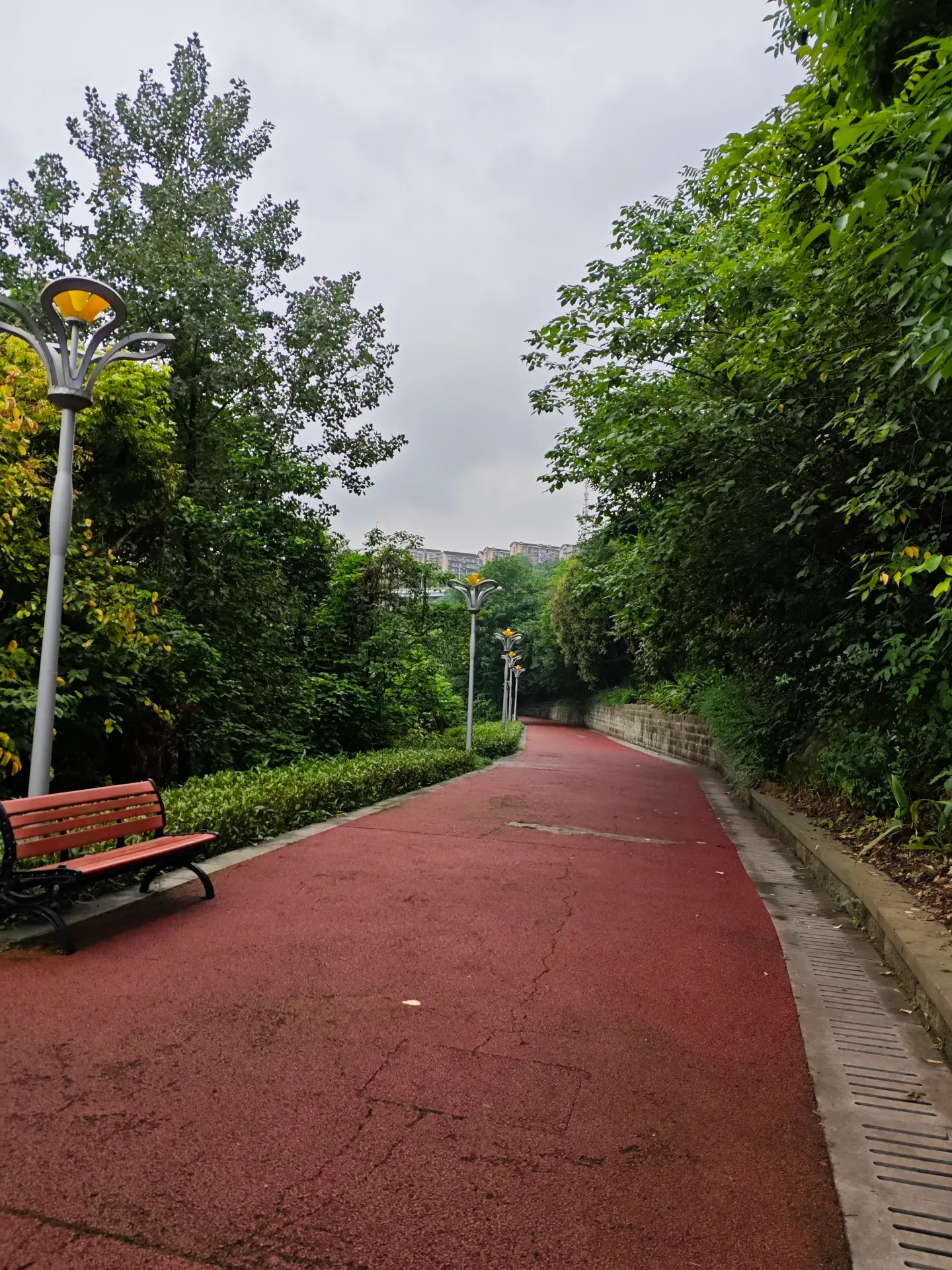 MVIMG_20260516_130250